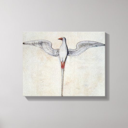 Tropenvogel Leinwanddruck (Vorderseite)