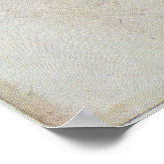 Tropenvogel Poster (Ecke)