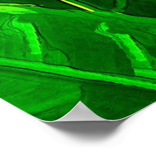 Tropenvogel Poster (Ecke)