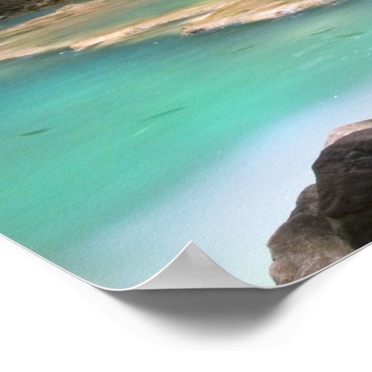 Tropenwald Poster (Ecke)