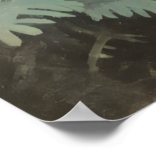 Tropenwald Tiger Vintag Poster (Ecke)