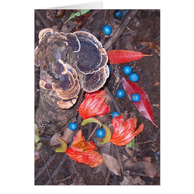 Tropenwaldfußboden (Vorne)