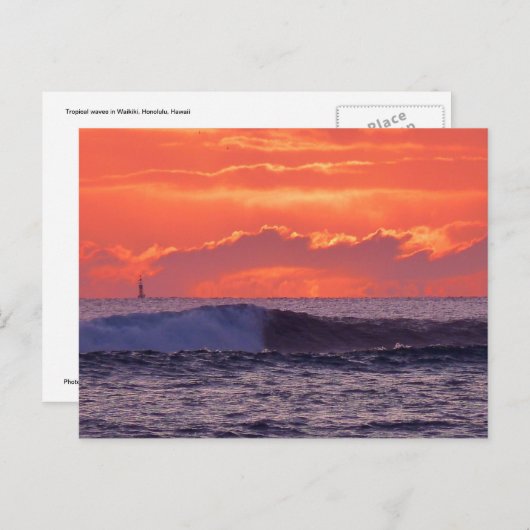 Tropenwellen Postkarte (Vorne/Hinten)