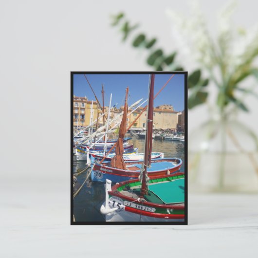 Tropez Segelboote Postkarte (Stehend Vorderseite)