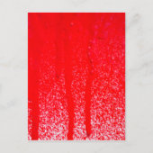 Tropfblut Postkarte (Vorderseite)