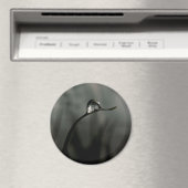 Tröpfchen Magnet (In Situ (Geschirrspüler))