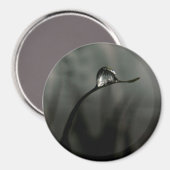 Tröpfchen Magnet (Vorderseite/Rückseite)