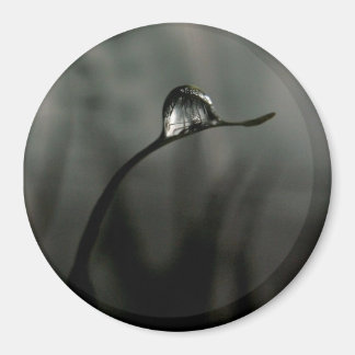 Tröpfchen Magnet