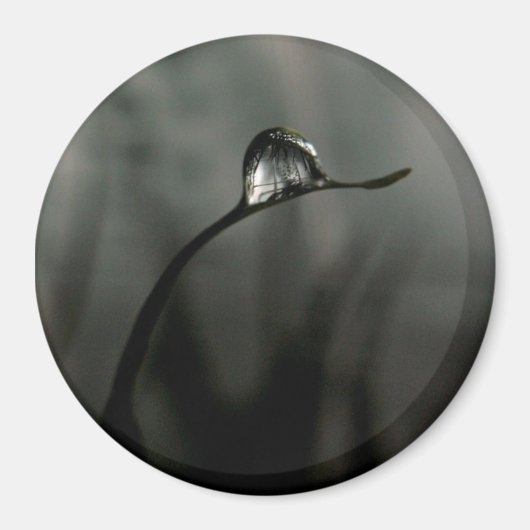 Tröpfchen Magnet (Vorne)