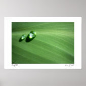 Tröpfchen Poster (Vorne)