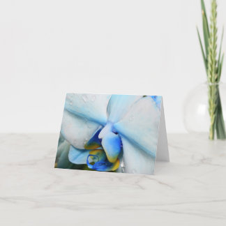 Tropfen auf Blue Orchid Karte