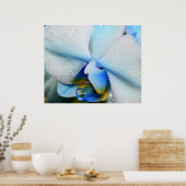 Tropfen auf Blue Orchid Poster (Küche)