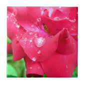 Tropfen auf Petals Keramik Foto Tile Fliese (Vorderseite)