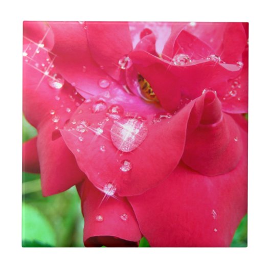 Tropfen auf Petals Keramik Foto Tile Fliese (Vorderseite)