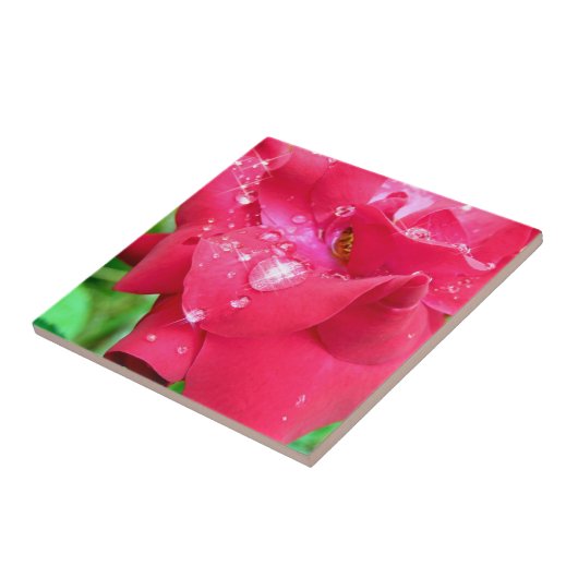 Tropfen auf Petals Keramik Foto Tile Fliese (Seite)