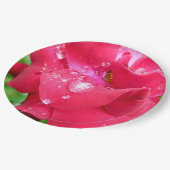 Tropfen auf Petals Paper Teller (Schrägansicht)