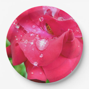 Tropfen auf Petals Paper Teller
