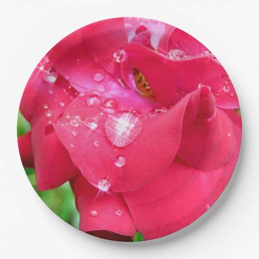 Tropfen auf Petals Paper Teller (Vorderseite)