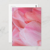 Tropfen auf rosa Tulpen Nah Postkarte (Vorne/Hinten)