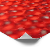 Tropfen der Morgentau Poster (Ecke)