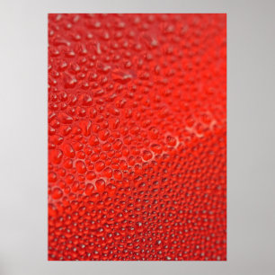 Tropfen der Morgentau Poster