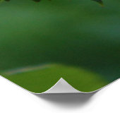 Tropfen des Regens Poster (Ecke)