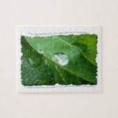 Tropfen für den Leaf-Wasserschutz Puzzle (Horizontal)