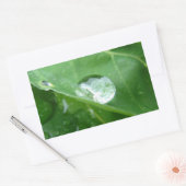 Tropfen für den Leaf-Wasserschutz Rechteckiger Aufkleber (Umschlag)