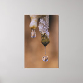 Tropfen Leinwanddruck