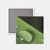 Tropfen Magnet (Vorderseite/Rückseite)