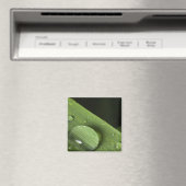 Tropfen Magnet (In Situ (Geschirrspüler))