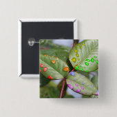 Tropfen mit Stolz Button (Vorne & Hinten)