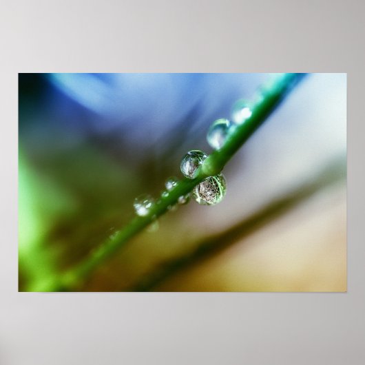 Tropfen Poster (Vorne)