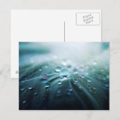 Tropfen Postkarte (Vorne/Hinten)