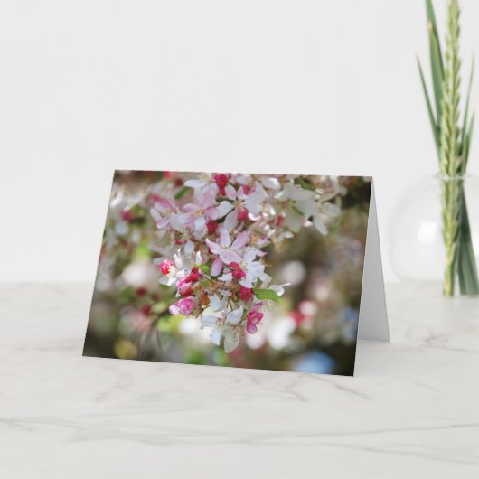 Tropfen Schönheitskarte Karte (Vorderseite)