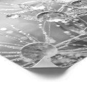 Tropfen Wasser auf Löwenflöff Poster (Ecke)