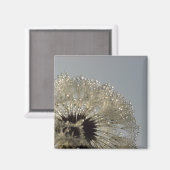 Tropfenrad Magnet (Vorderseite/Rückseite)