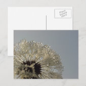 Tropfenrad Postkarte (Vorne/Hinten)