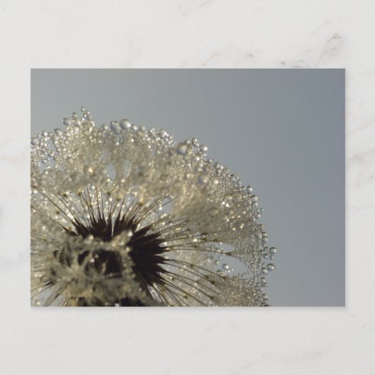 Tropfenrad Postkarte (Vorderseite)