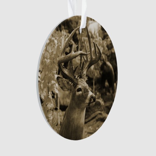 Tropfenwild Ornament (Vorderseite)