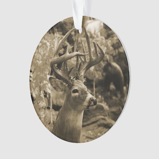 Tropfenwild Ornament (Vorderseite)