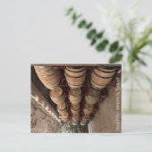 Tropffeder, Texas-Postkarte Postkarte (Stehend Vorderseite)