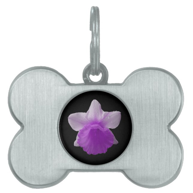 Tropffodischer Lila Pet-Tag Tiermarke (Vorderseite)