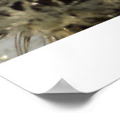 Tropfrad - Löwenzahn mit Tropfen Poster (Ecke)