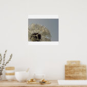 Tropfrad - Löwenzahn mit Tropfen Poster (Küche)