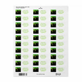 Tropfschleife (Vorne)