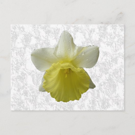 Tropftrockner Postkarte (Vorderseite)