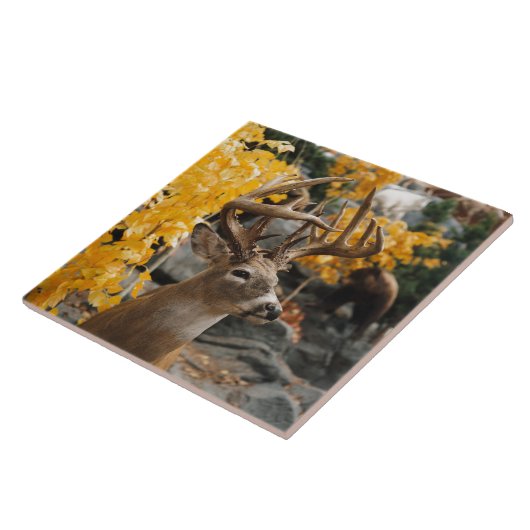 Trophäe-Rotwild Fliese (Seite)