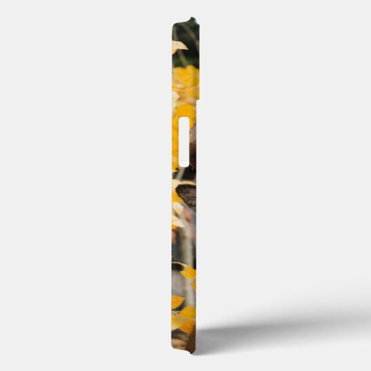 Trophy Deer Case-Mate iPhone Hülle (Rückseite / Rechts)