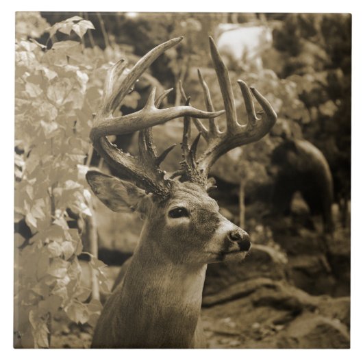 Trophy Deer Fliese (Vorderseite)